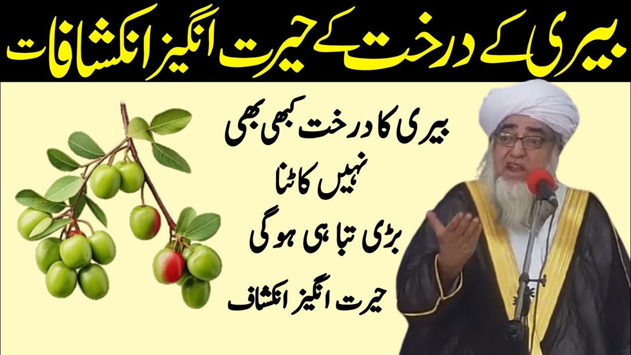 Beri ke Darakht Nahi Katna | beri ke Darakht ka Ajeeb waqia | Mufti Zarwali Khan