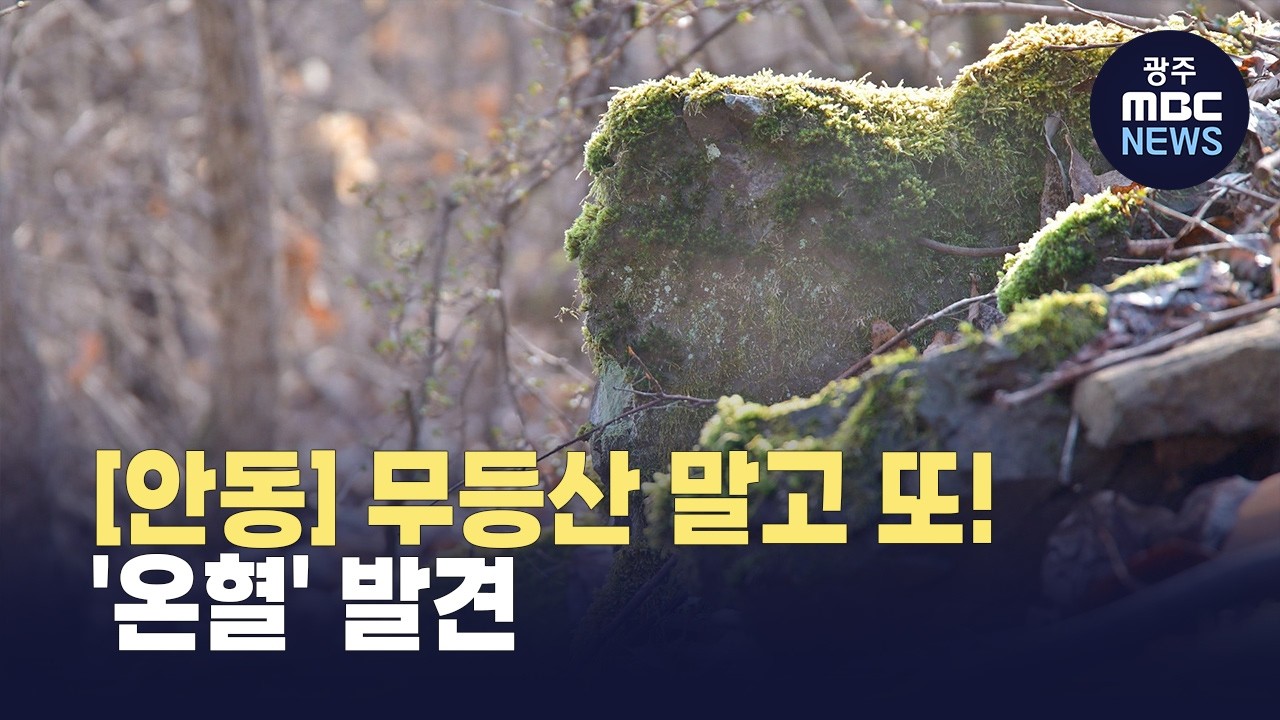 [안동] 따뜻한 김 뿜는 '온혈' 발견..의성 빙계계곡 미스터리 (뉴스투데이 2026.03.09 광주MBC)