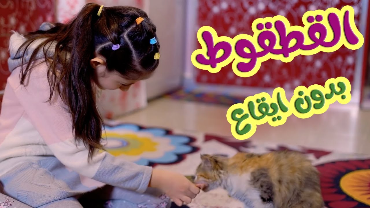 أغنيه القطقوط بدون ايقاع | بابي مامي - Papi Mami #أغاني_أطفال #اطفال #اغاني_اطفال #بيبي