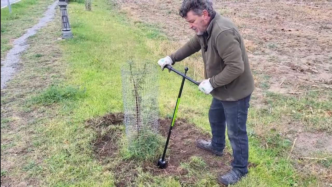 Nutrido de árboles a base de compost líquido con AHOYADOR de Agroforja + INNOVACIÓN SORPRESA