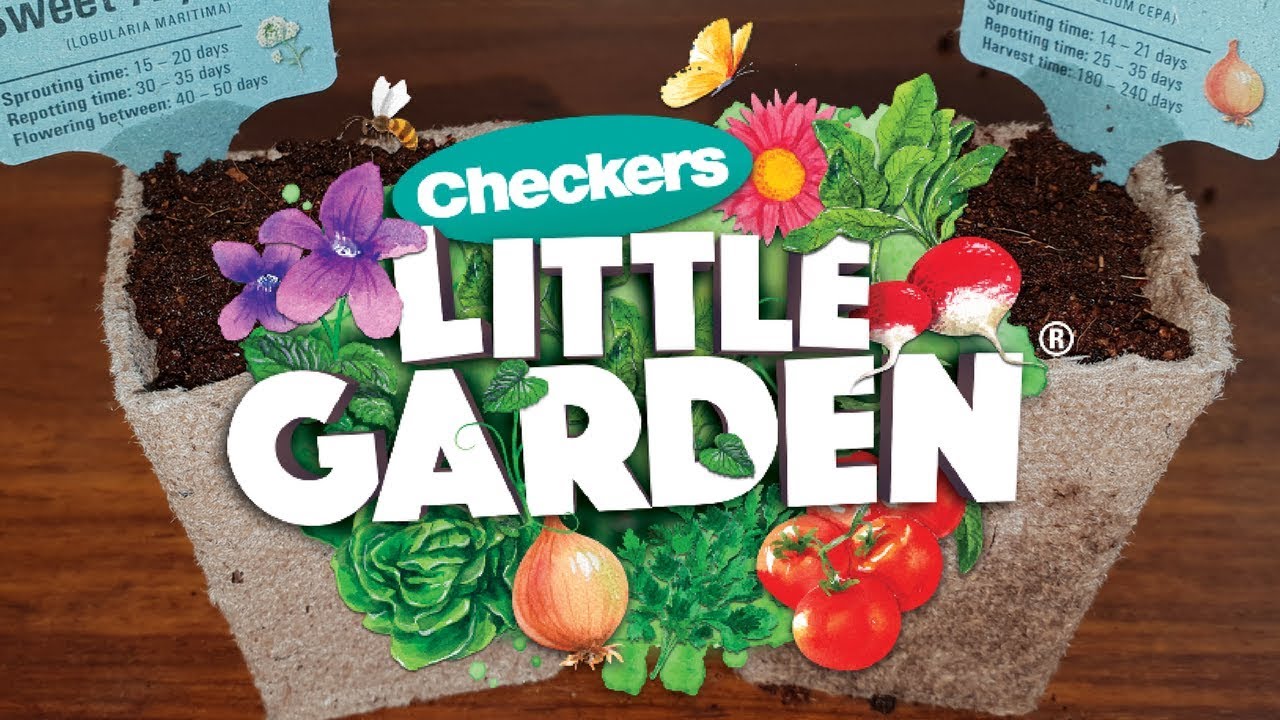 Checkers Little Garden