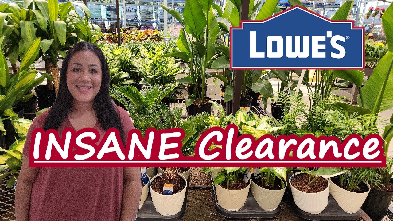 INSANE Plant Clearance Deals at Lowe's!