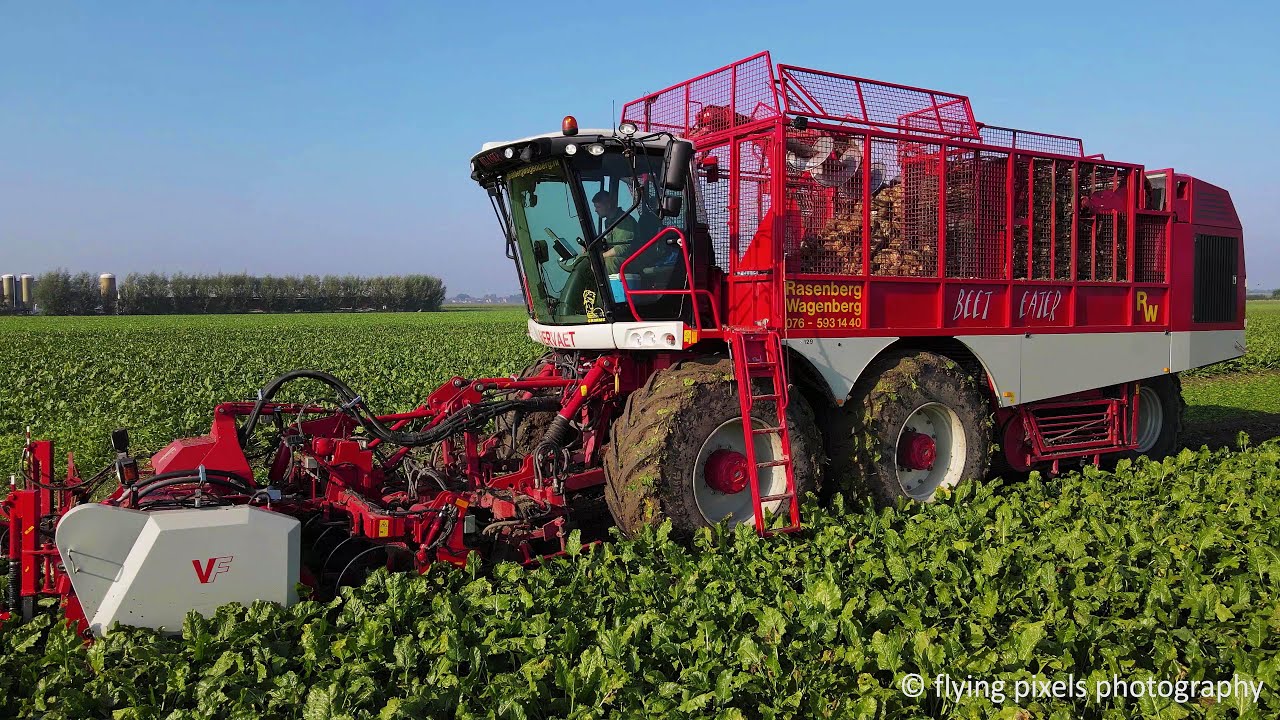 Suikerbieten rooien | Sugar Beet harvest | Zuckerrüben roden | Vervaet Beet Eater 625 | Bietenoogst