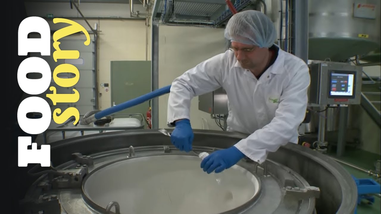 Comment la stevia est transformée en sucre blanc