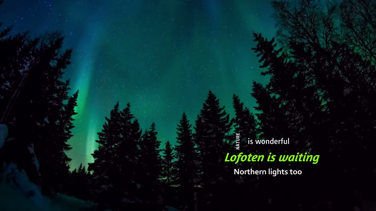 Lofoten Northern Lights