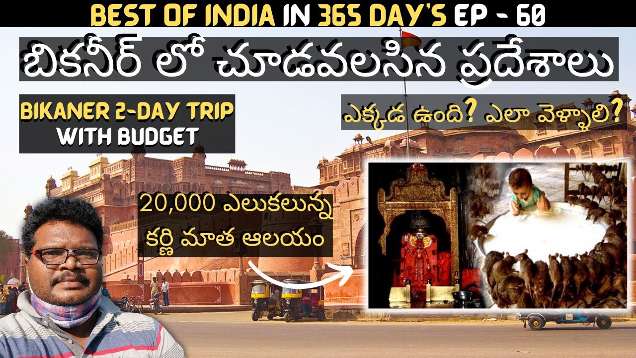 Bikaner full tour in telugu | Bikaner Karni mata temple | Bikaner tourist places | Rajasthan