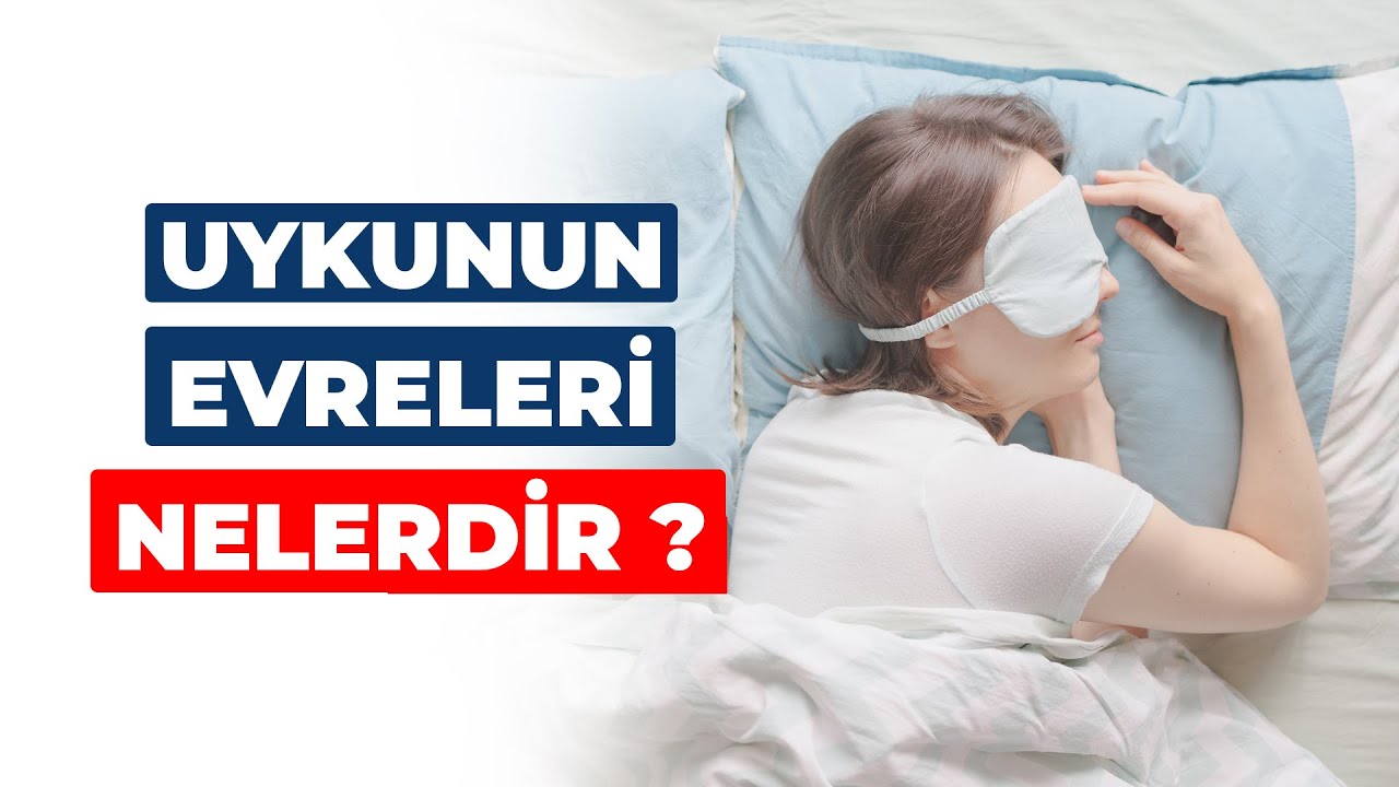 Uykunun Evreleri Nelerdir ? DR. MERYEM YILDIZ AYVAZ