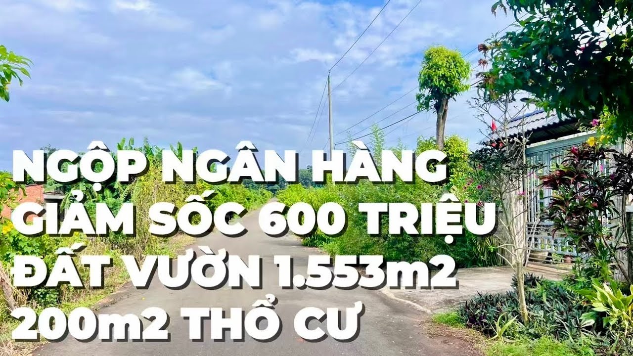 Ngộp Ngân Hàng Giảm 600 Triệu Cần Bán Gấp Đất Vườn ,Có Thổ Cư Ở BR-VT Để Khỏi Nợ Xấu