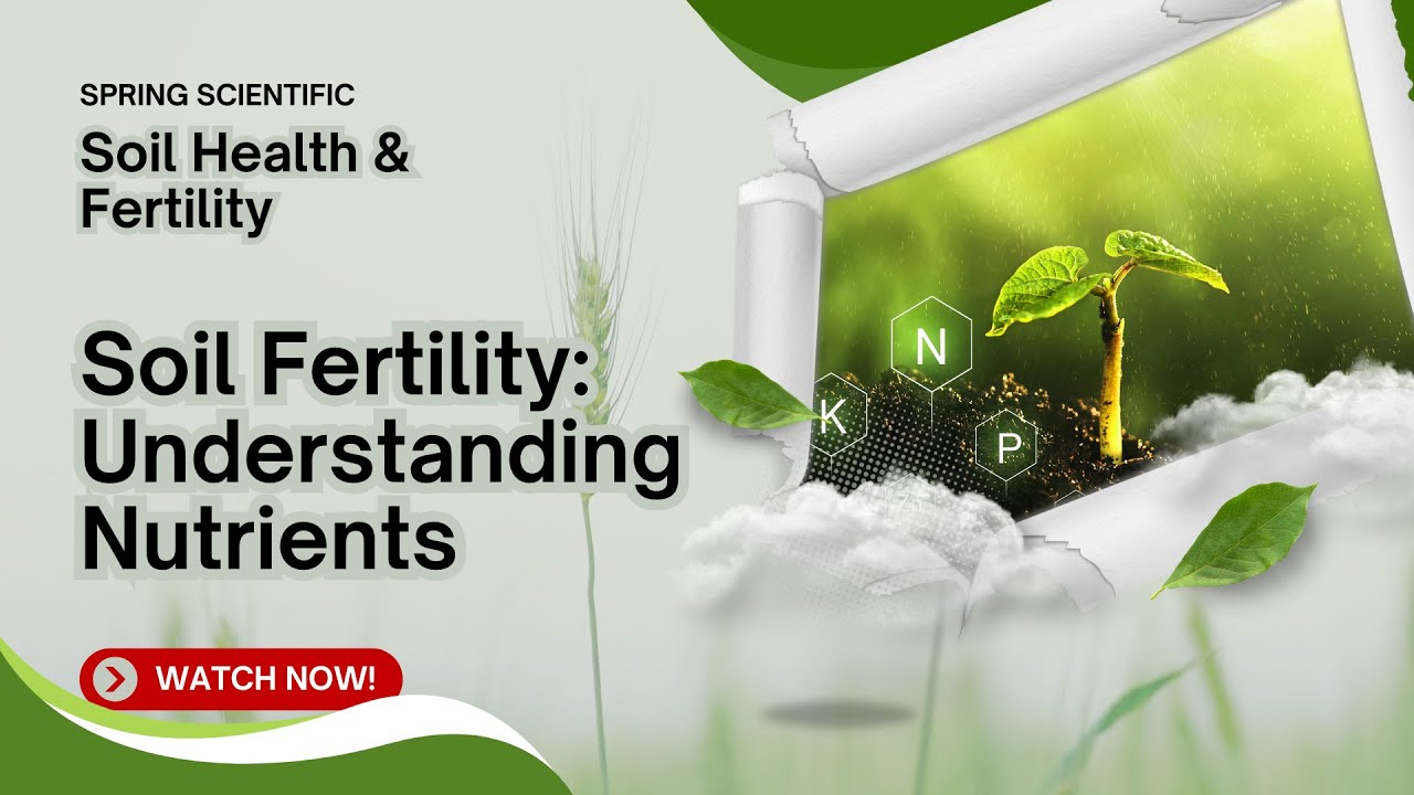 Understanding Soil Fertility: 17 Essential Nutrients for Plant Growth 🌱 | Spring Scientific