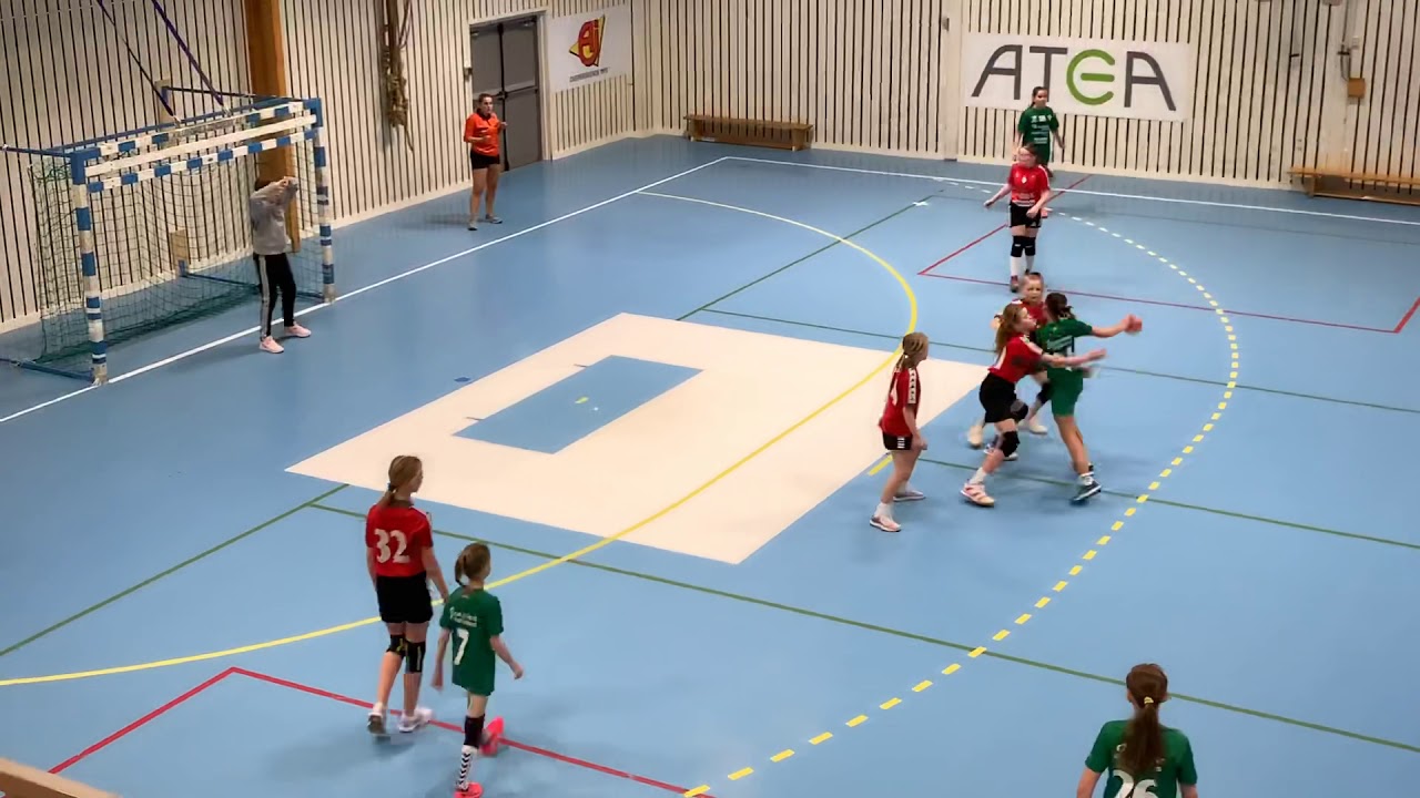 NIT-HAK BLÅ - FJELLHAMMER RØD 12.01.2020 1/4