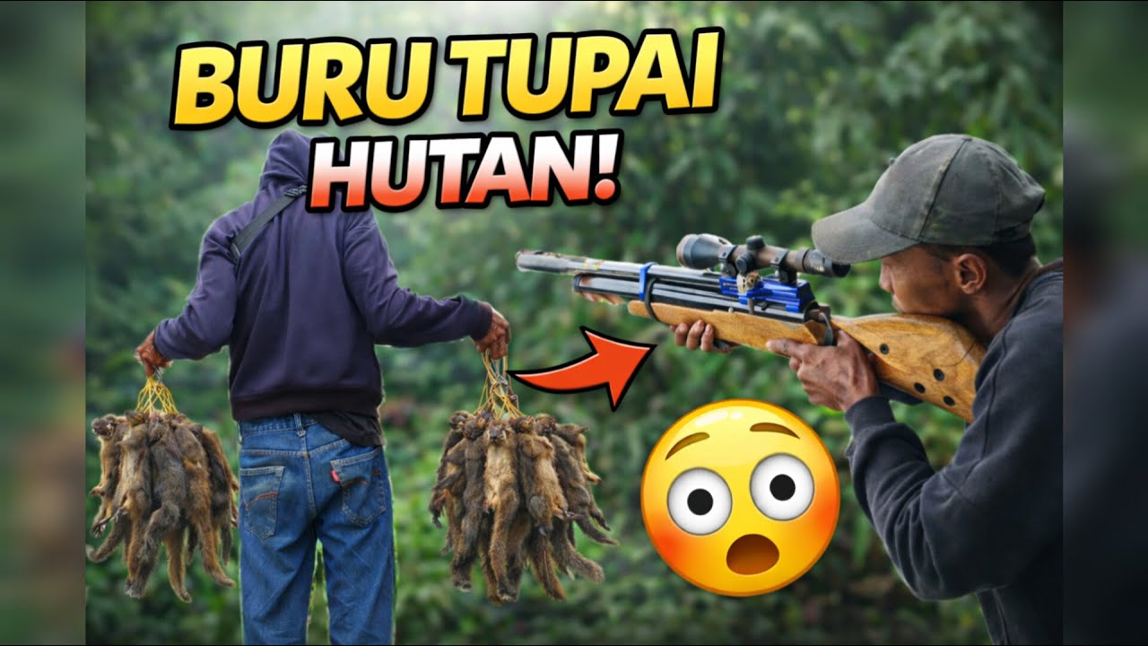 GAGAL PECAH REKOR 50 POIN BERBURU TUPAI ‼️