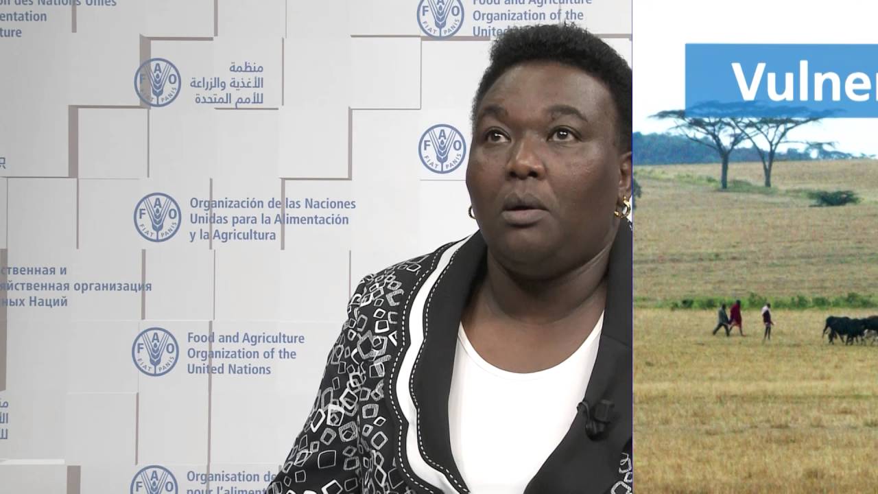 Agriculture and Climate Change Adaptation Planning in Kenya