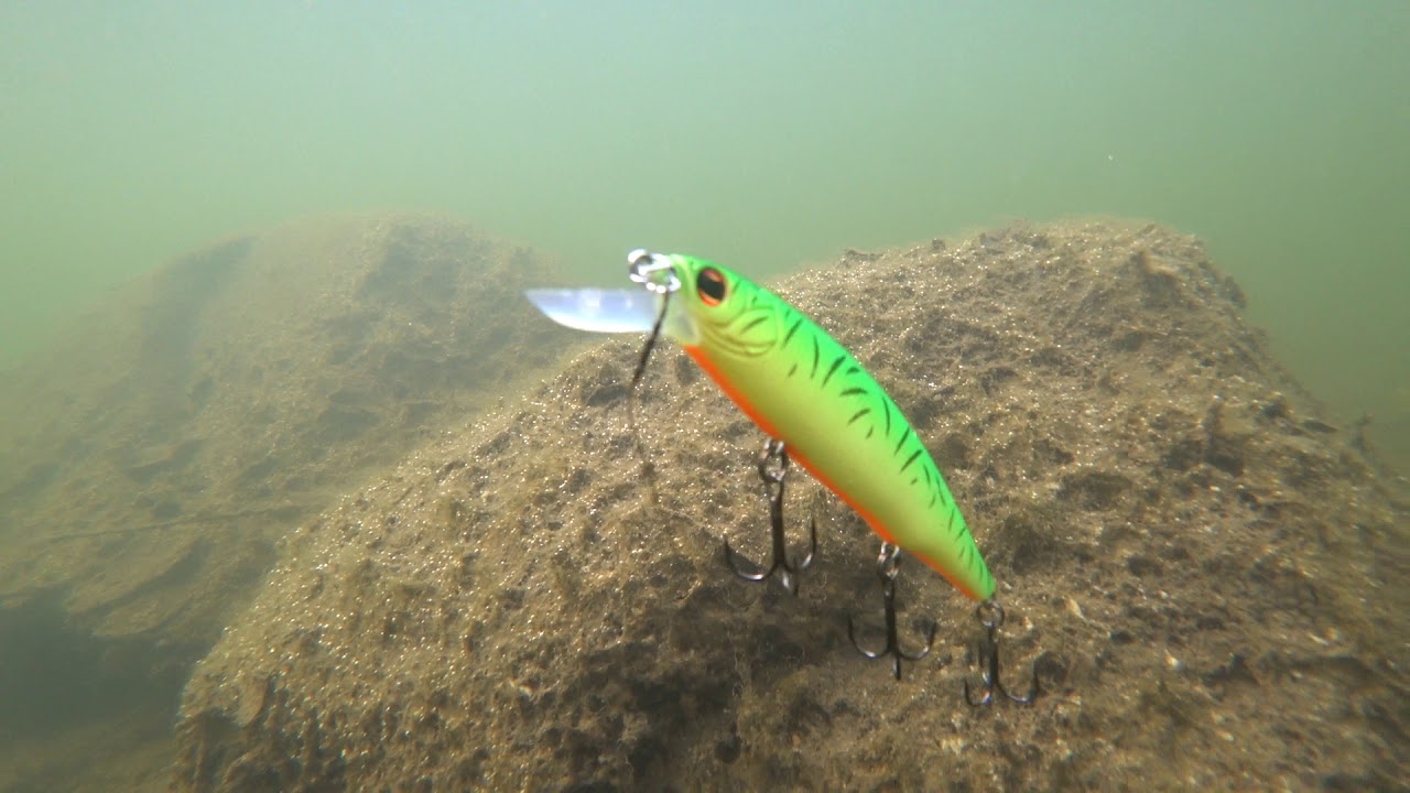 Imakatsu Riprizer 110F и 110 Slow Rizer. Степень плавучести и игра. Underwater Footage