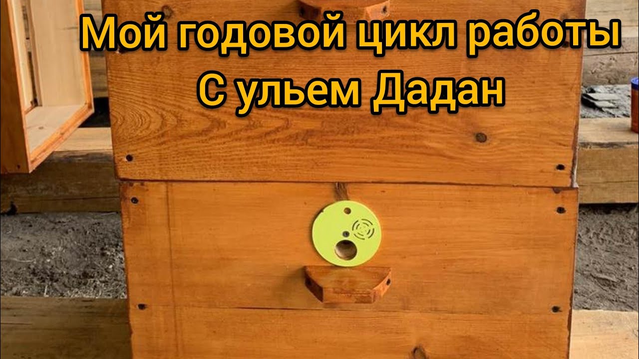 ГОДОВОЙ ЦИКЛ СОДЕРЖАНИЯ ПЧЁЛ В УЛЬЯХ ДАДАН 12-РАМОЧНЫХ | ПЛЮСЫ ТА МИНУСЫ УЛЬЯ