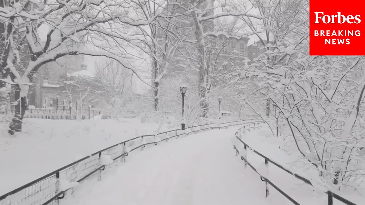 Blizzard Leaves New York City's Central Park Under Thick Blanket Of Snow