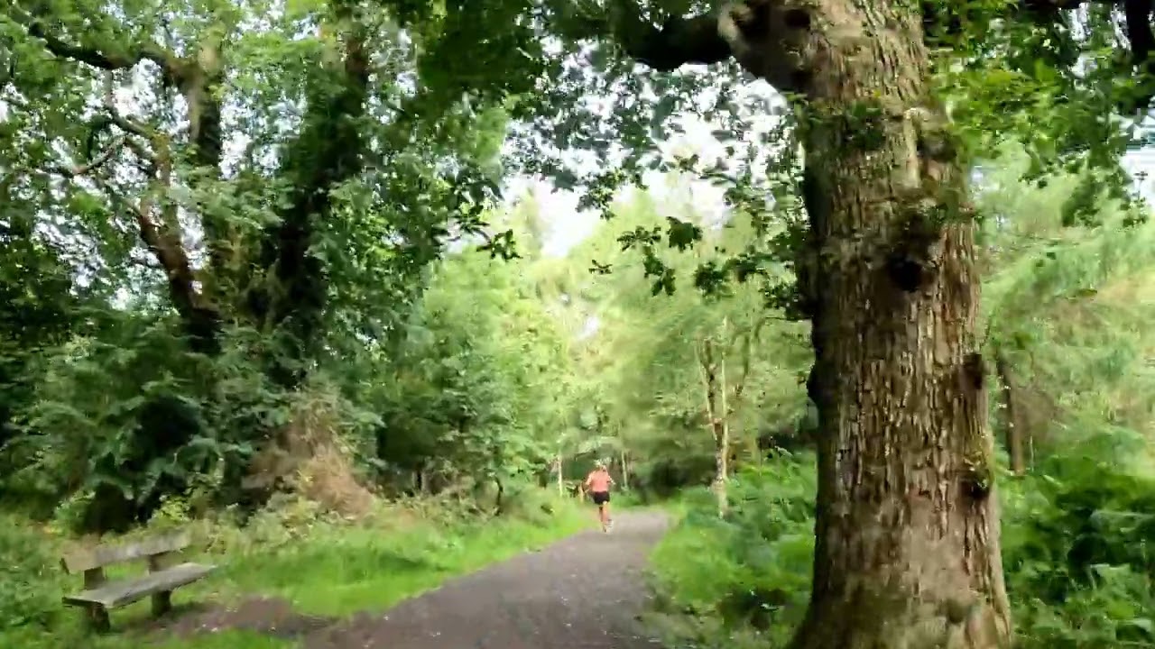 Falkirk parkrun 22/07/23