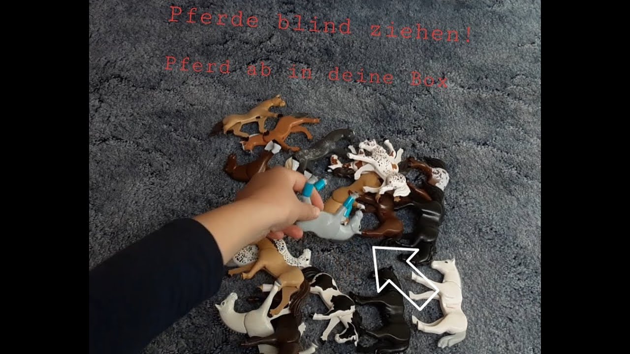Pferde blind ziehen 👀 Pferd ab in deine Box 🐴 deutsch