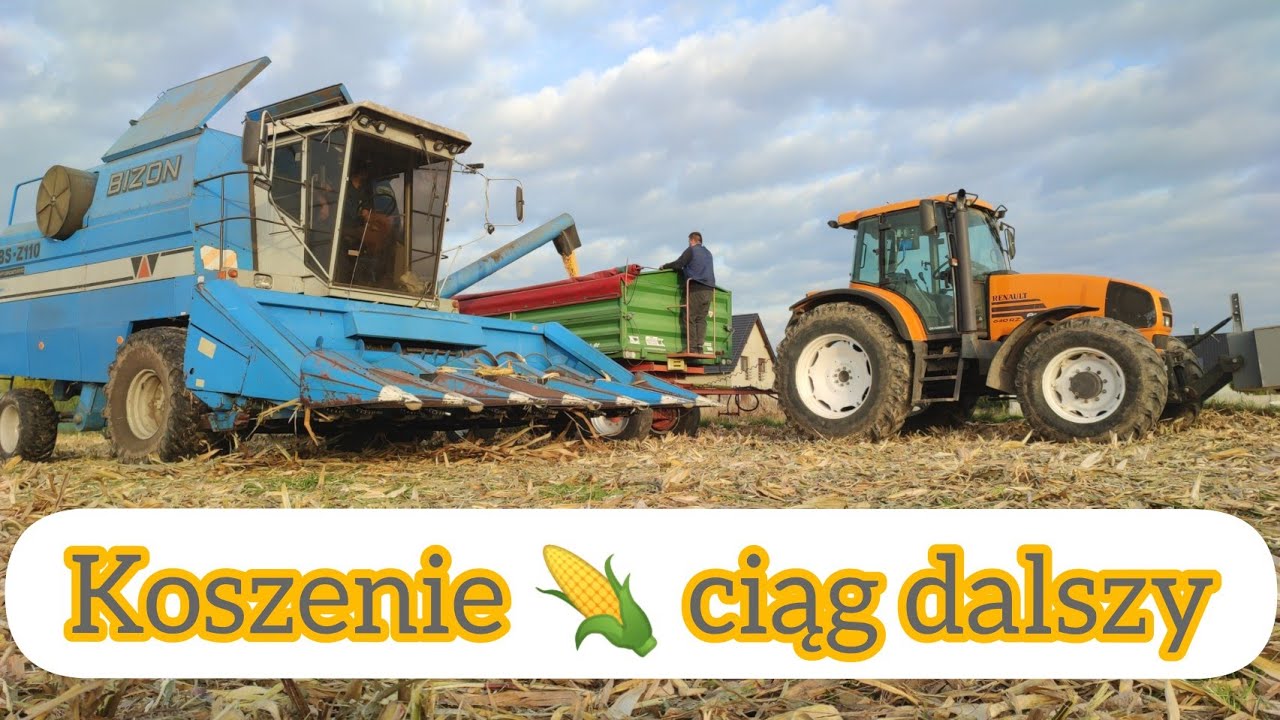 Kukurydza 2021 Bizon śmiga aż miło i urwany pas.