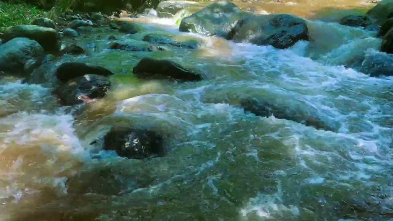 Sleep by the River Calming Sounds for sleep