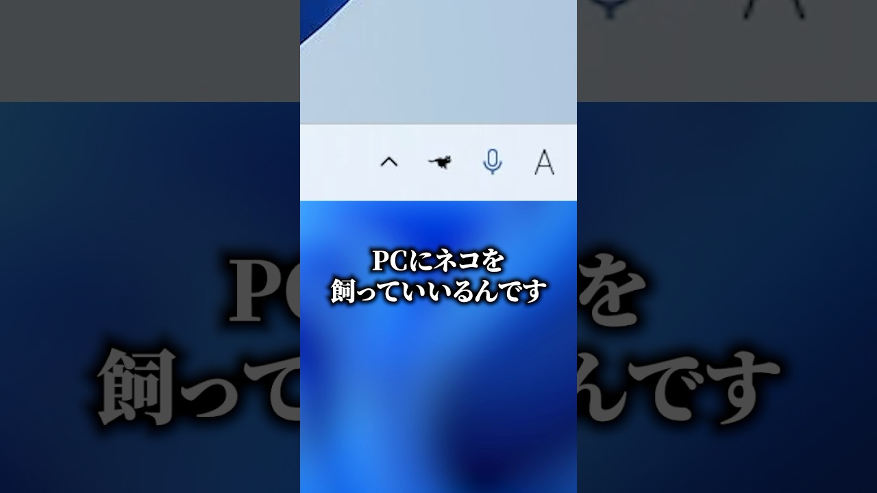 パソコンの中で飼える猫 #ゲーミングpc #karasugaming