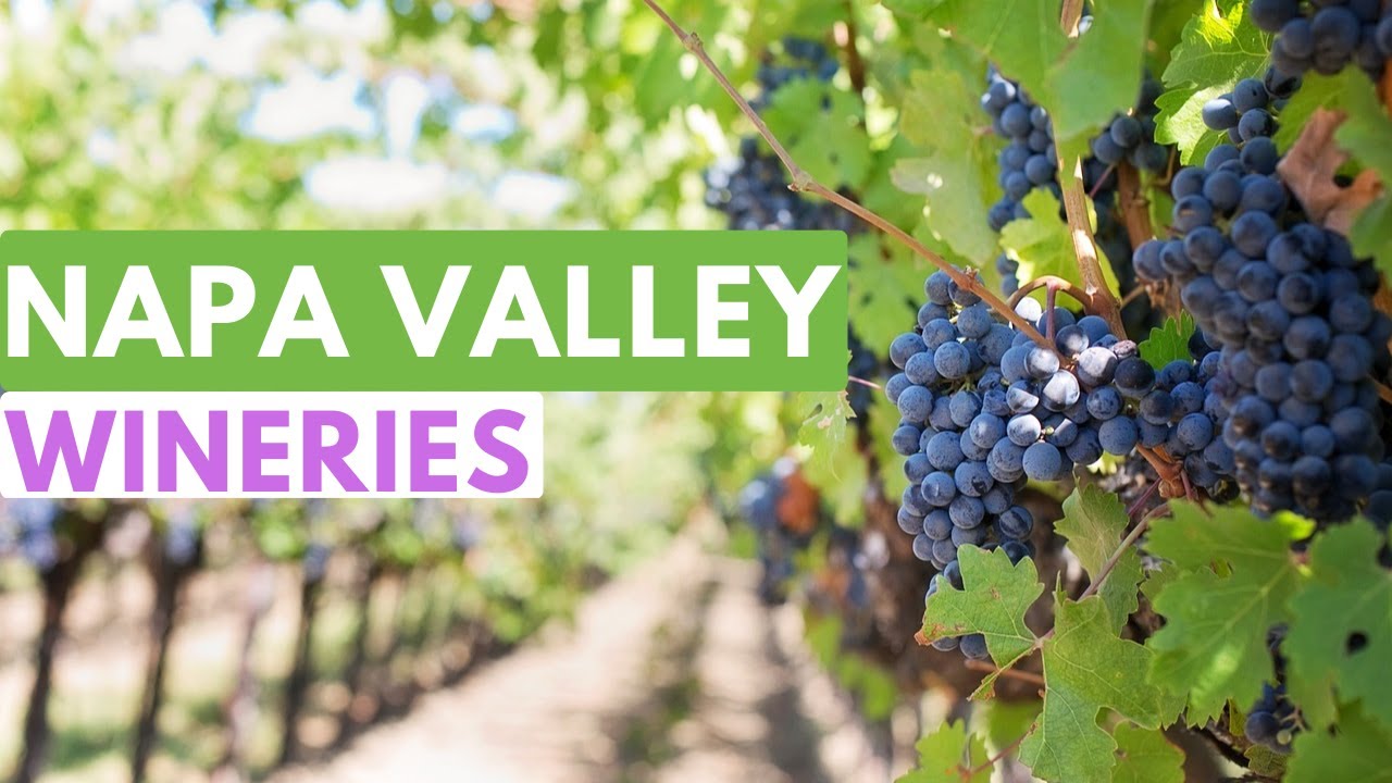 Top 5 Best Wineries To Visit In Napa Valley, California- Travel Video