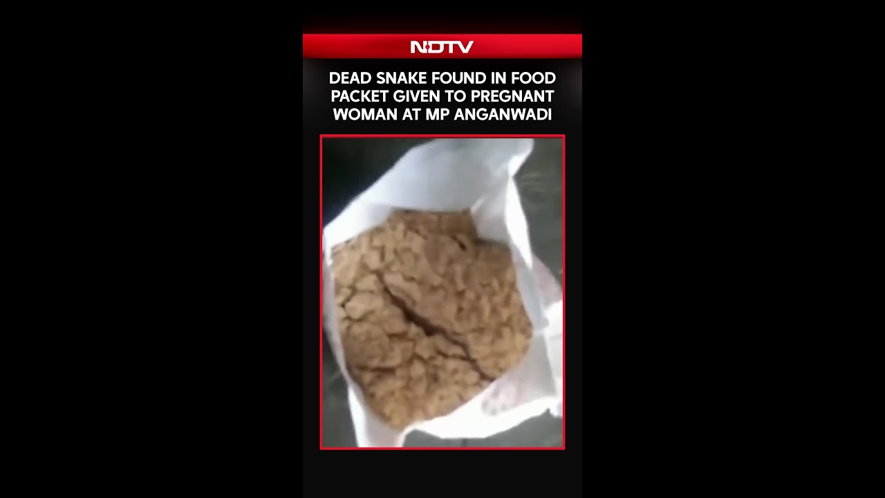 Dead Snake Found In Food Packet Given To Pregnant Woman At Madhya Pradesh Anganwadi Centre