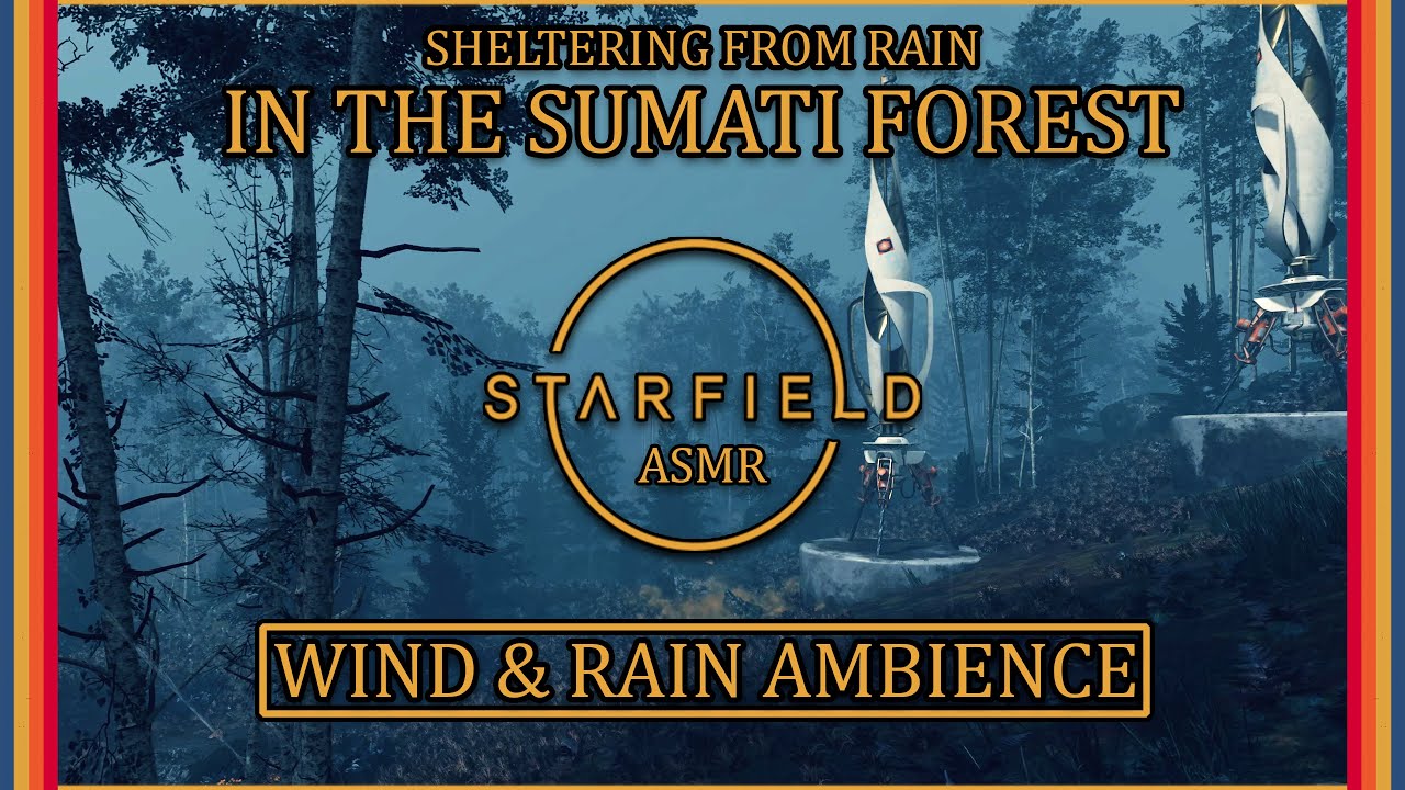 Stormy Night in a Forest • Starfield Ambience