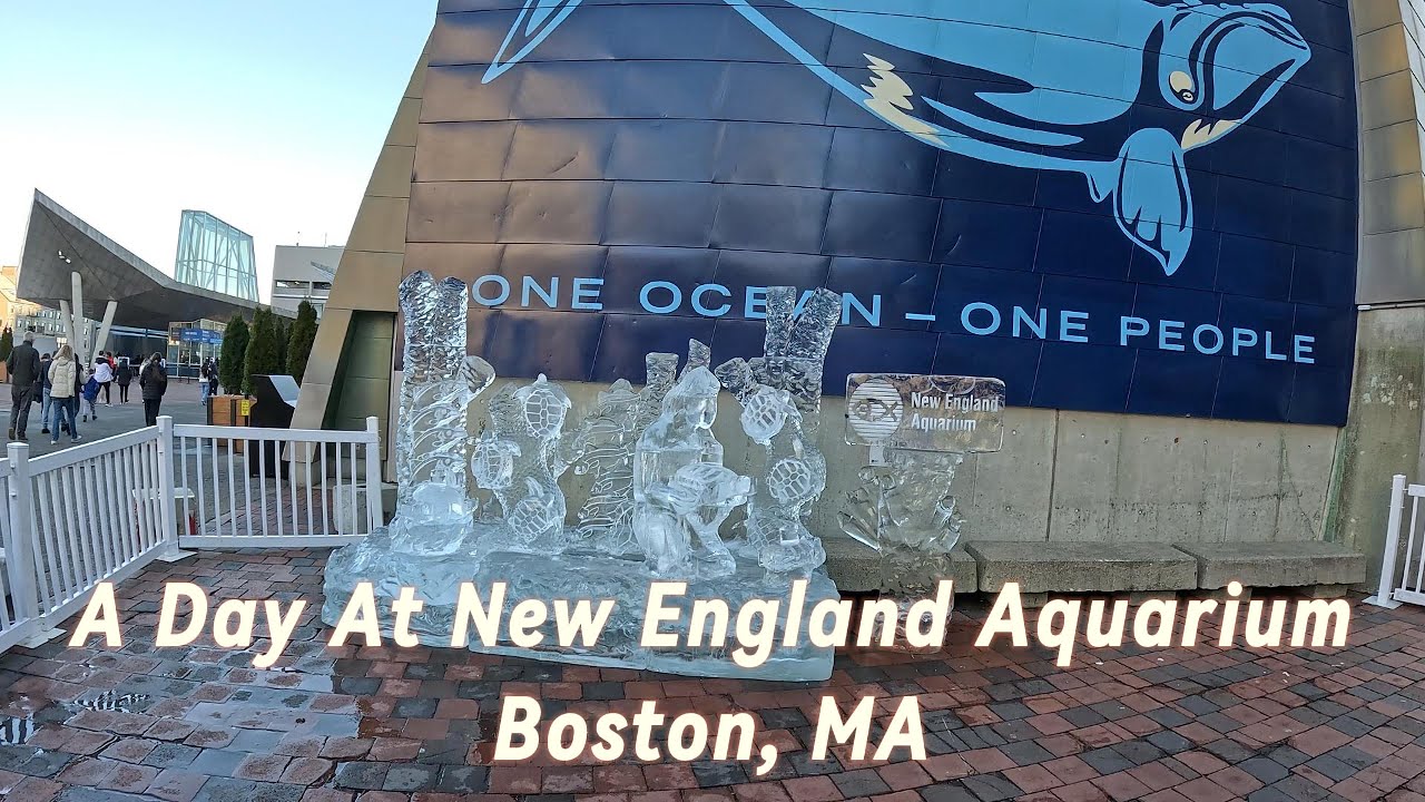 Visiting the New England Aquarium, Boston, Massachusetts