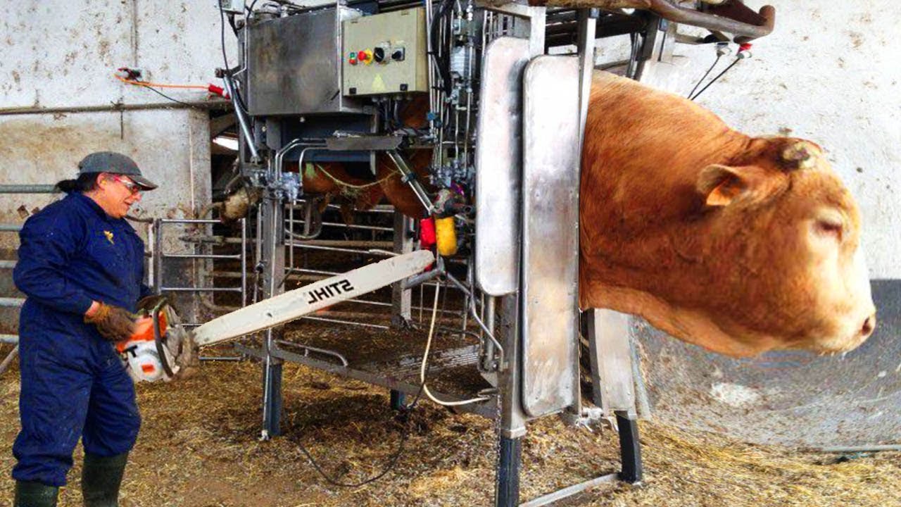 BILLIONAIRES SECRET UNDERGROUND FARM: Exclusive First Look 💰🌱 | HIDDEN FACILITY
