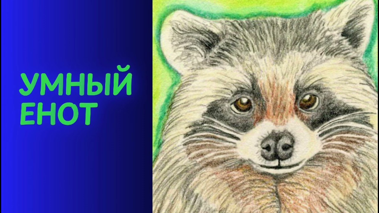 УМНЫЙ ЕНОТ | Аудиосказка
