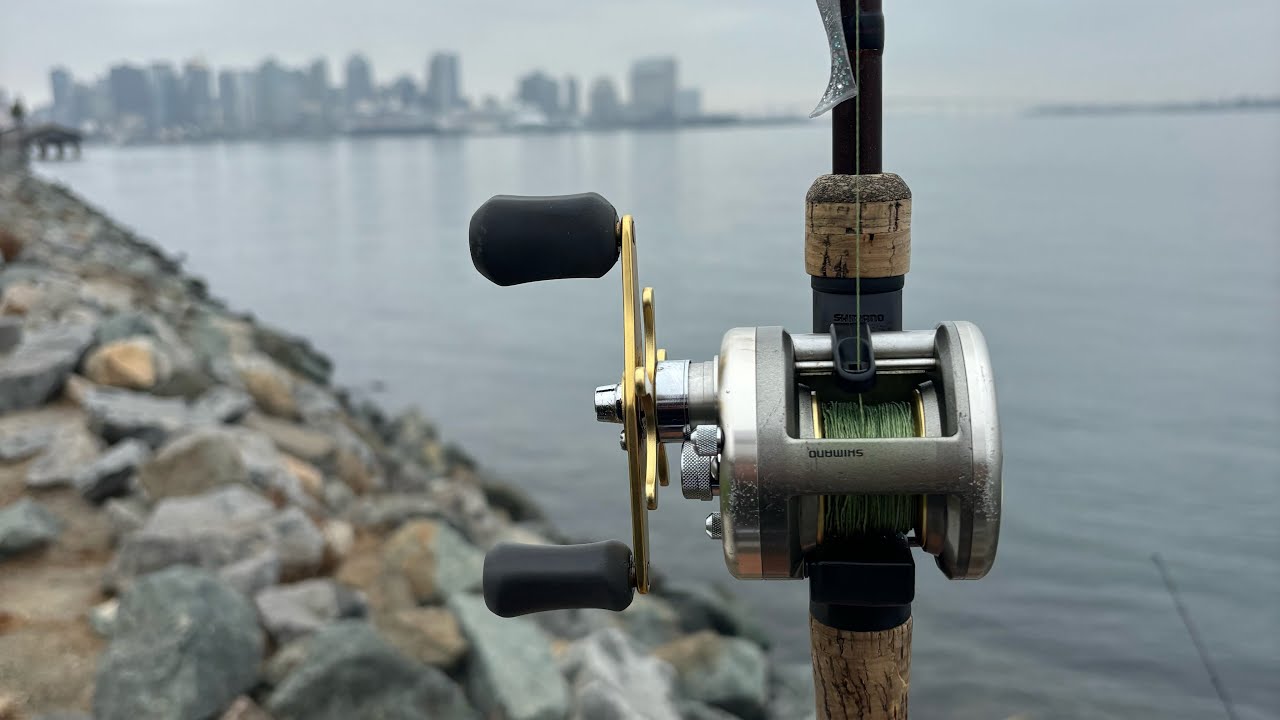 Fishing Harbor Island For whatever Bites (San Diego) 