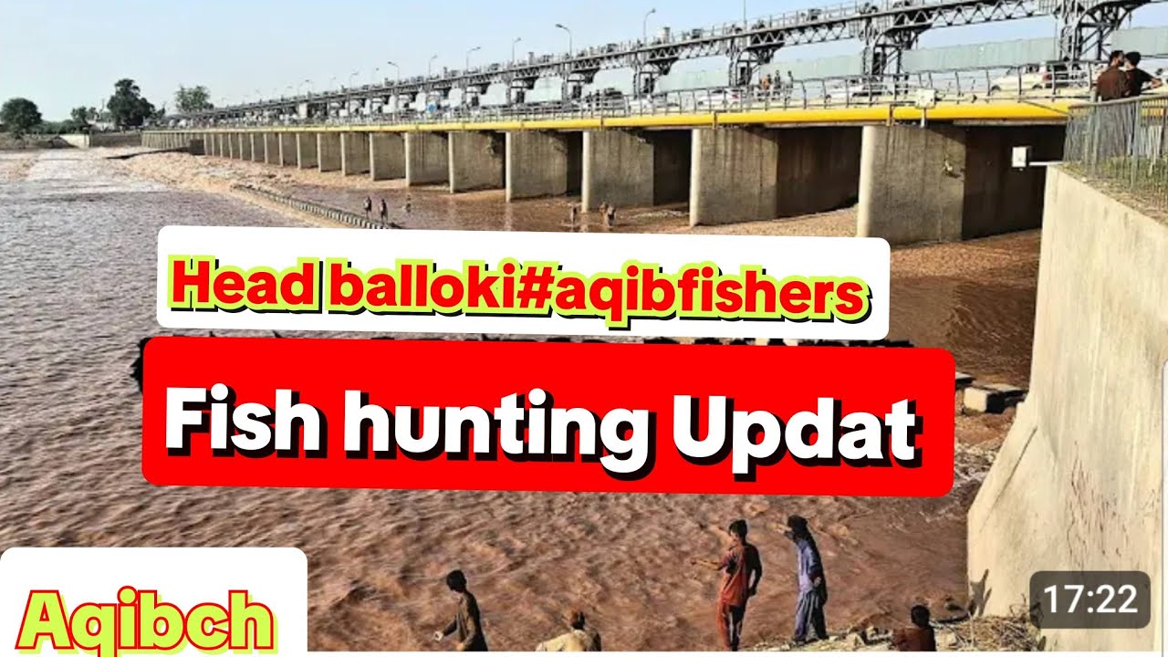 Unbelievable fish hunting Head balloki#aqibfishers 