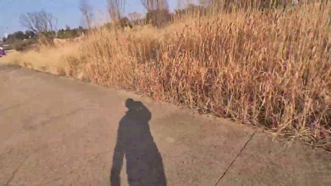 산림휴양의 역사적 배경 #산림휴양#휴양