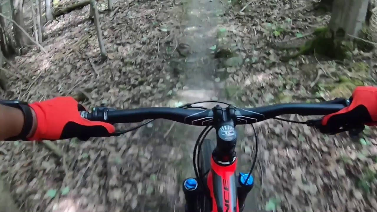 Carrick Tract Trail