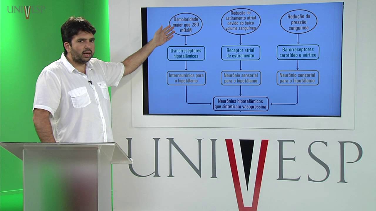 Corpo Humano: Órgãos e Sistemas - Aula 16 - Controle da Osmolaridade Urinária