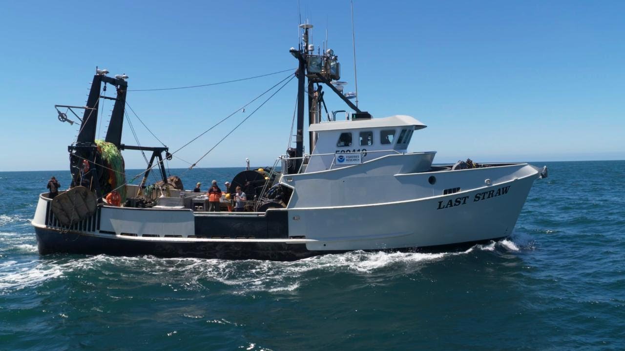 Reeling to Rebuilding: Success for West Coast Groundfish Fisheries