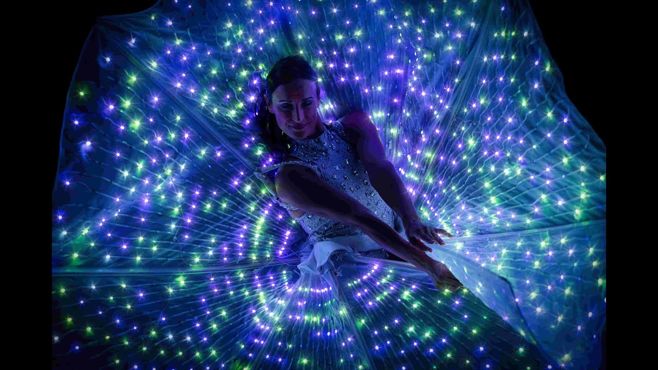 Peacock LED Aerial Adel #spectaclelumineux #showled