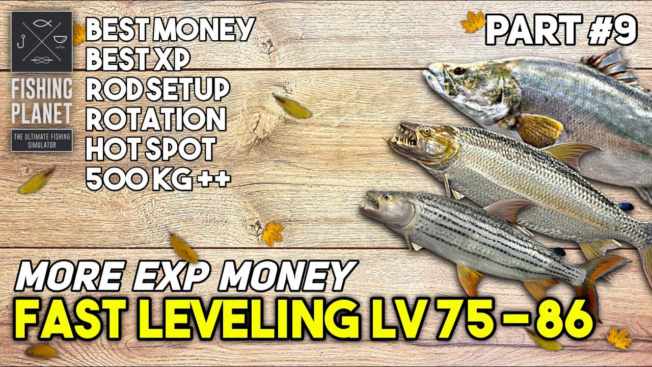 FAST LEVELING 75-86 EXP MONEY NO PREMIUM - FISHING PLANET
