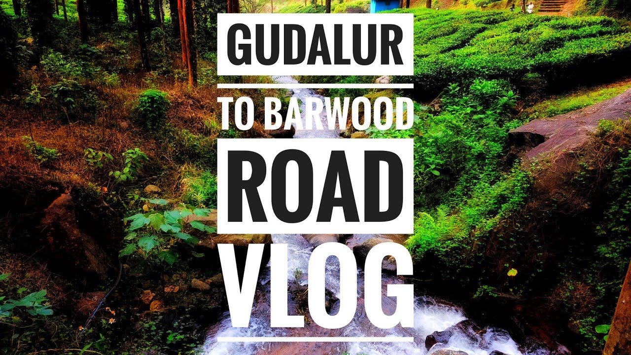 Gudalur 2 Barwood ❤ Road #shorts #fishcurry #youtube #micset