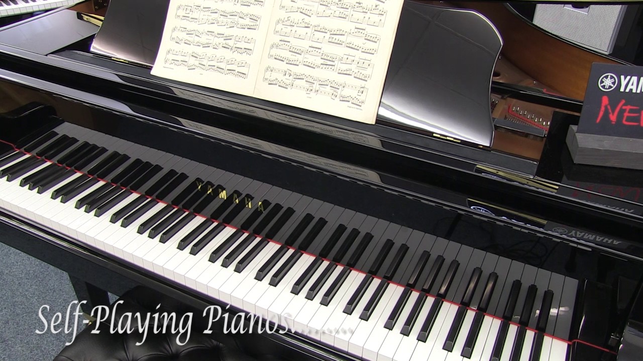 Visit To Bonners Massive Piano Shop In Surrey Near London