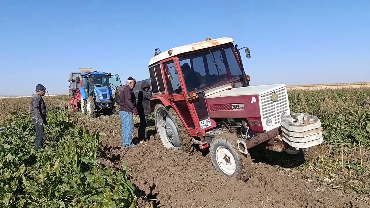 Harmak Pancar söküm videoları çamurda pancara devam