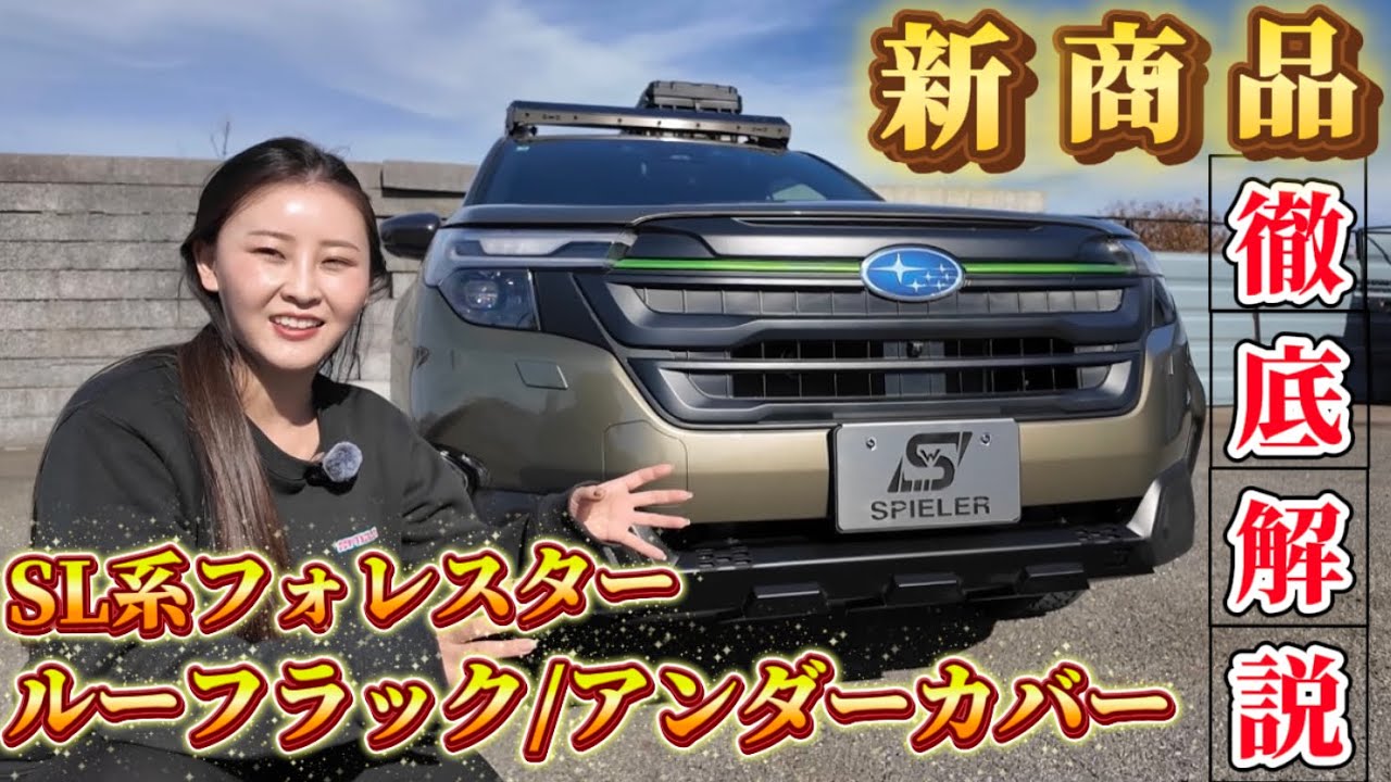 Новый багажник на крышу Forester X-BREAK: способ установки, материалы, возможности расширения + з...