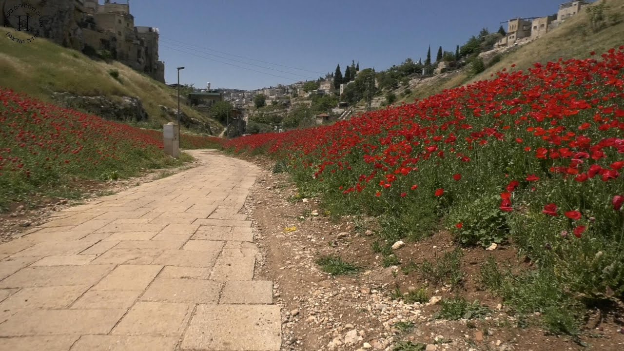 נחל קדרון בתקופת בית המקדש