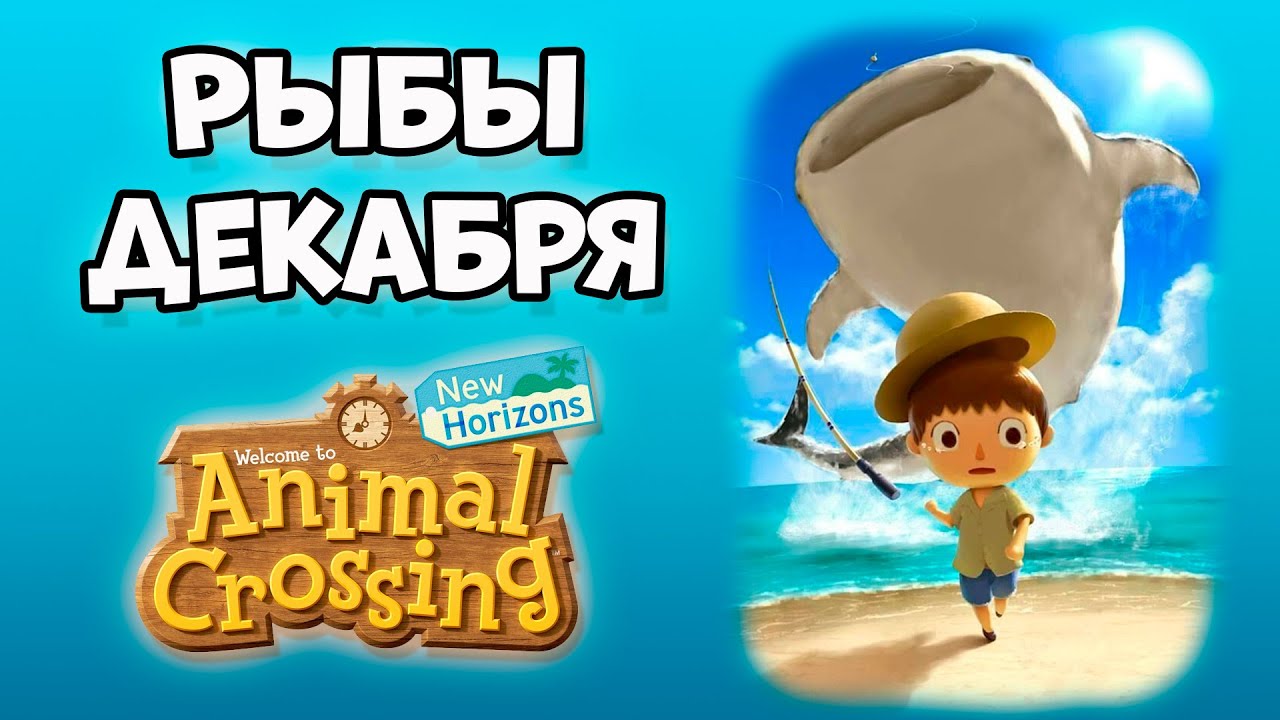 Все рыбы Декабря в игре Animal Crossing: New Horizons (0+)
