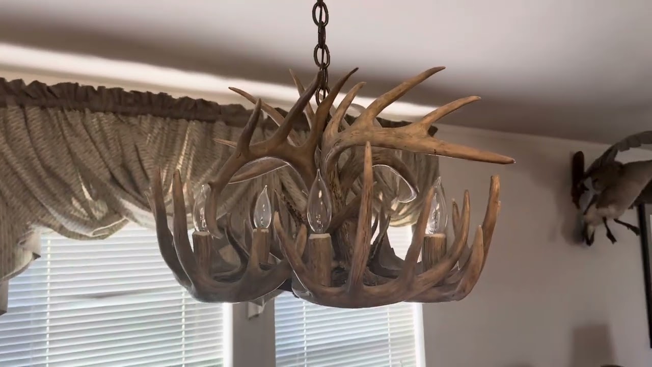 Real Life Review of Faux Deer Antler Chandelier