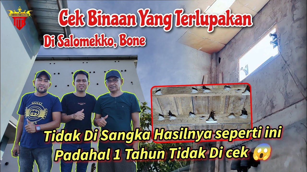 Tidak Di Sangka Hasilnya seperti ini 😱 Padahal Setahun Tidak di cek 😱. Cek Binaan di Salomekko, Bone