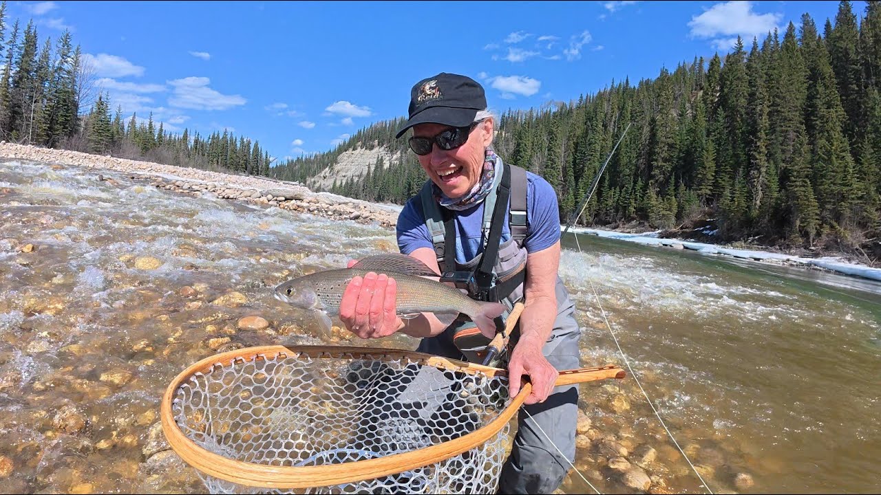 Four days of fly fishing on the mighty Athabasca