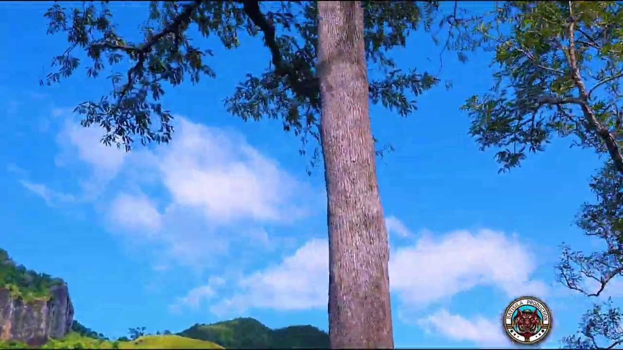 NARAUYABA (VUNITIVI) VATUKALOKO HIGHLANDS (RA) FIJI, ADVENTURE TOUR 2020.