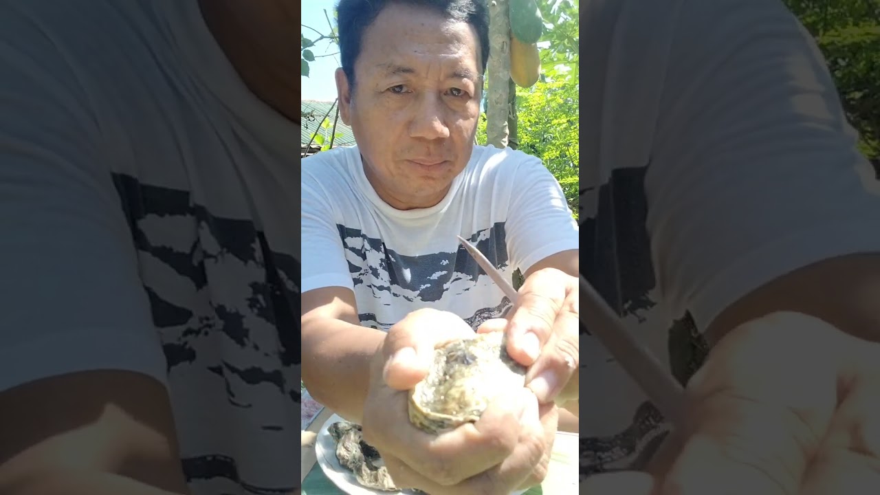 Talaba