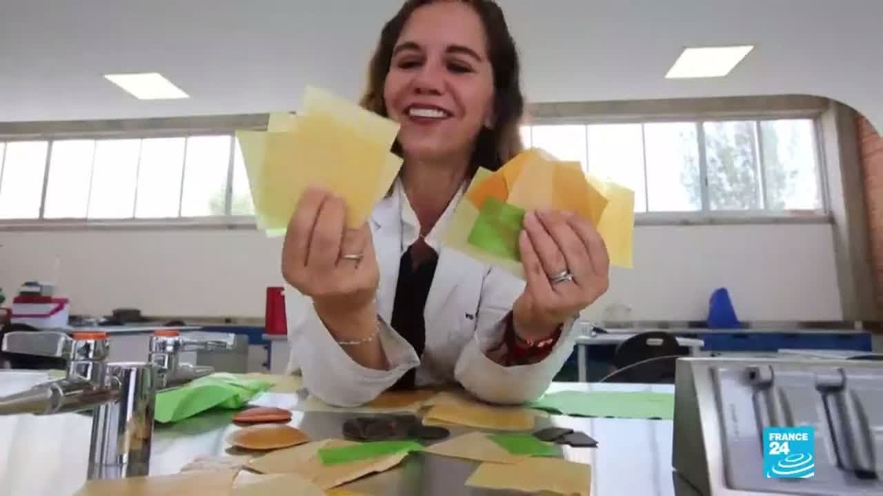 El cactus nopal podría ser usado como plástico biodegradable